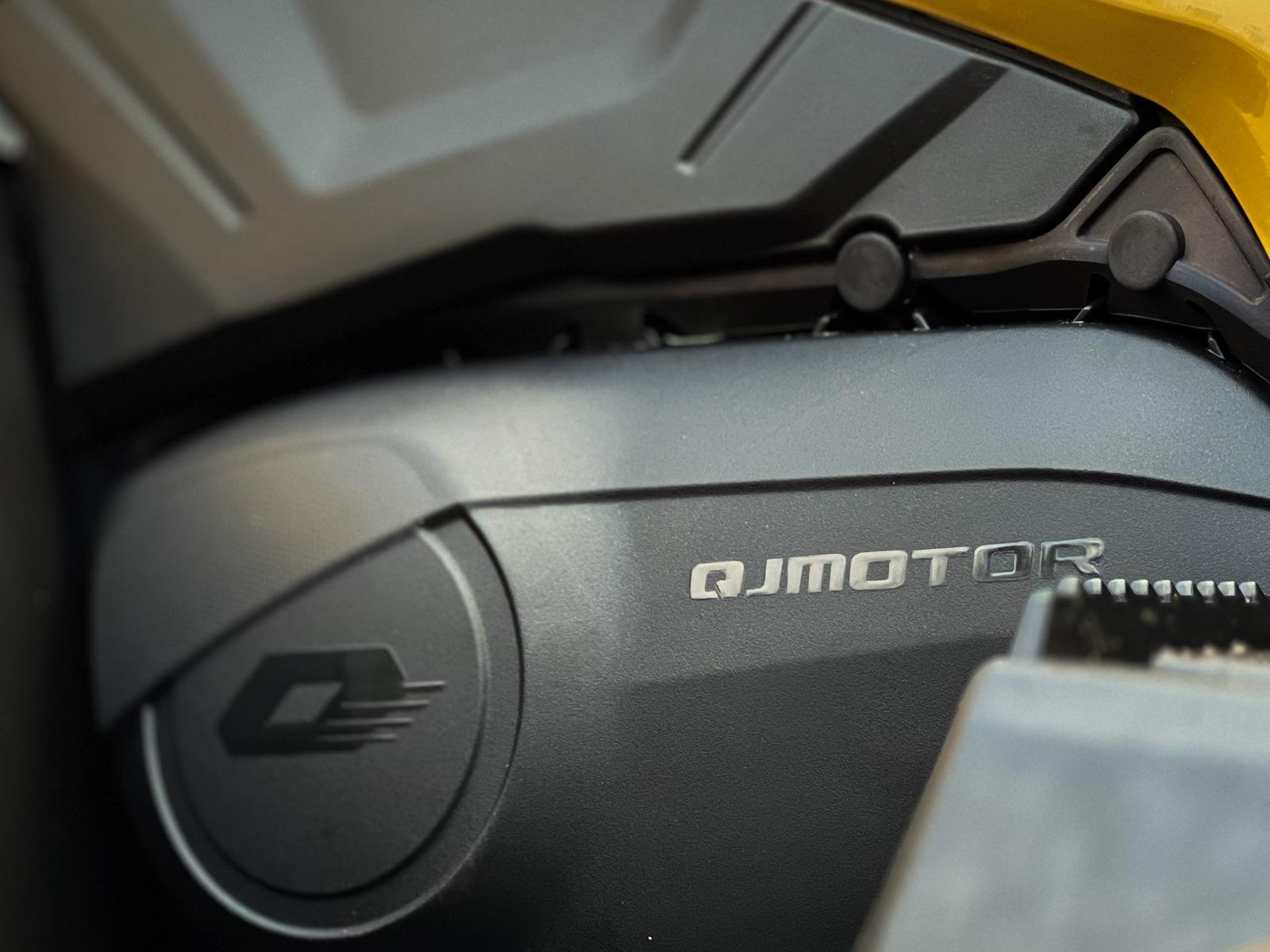 BRCP Fury MUD 1000R QJMOTOR Engine Detail